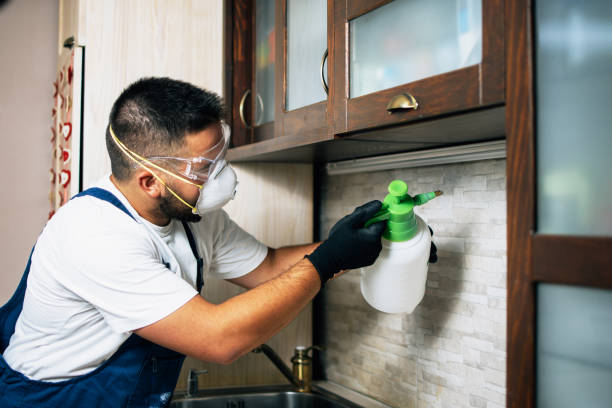 Best Pest Removal Services  in Nashotah, WI