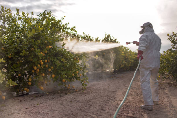 Best Wildlife Control Services  in Nashotah, WI