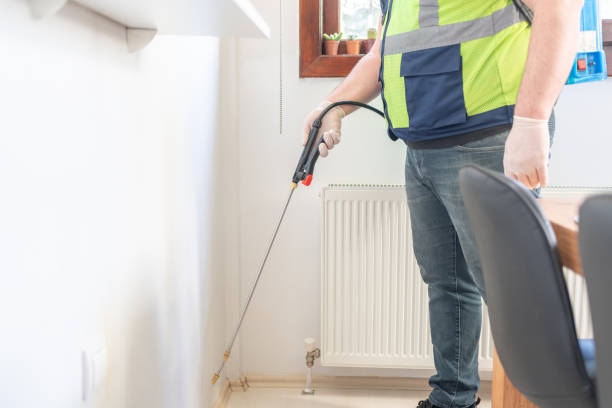 Best Rat Extermination Near Me  in Nashotah, WI