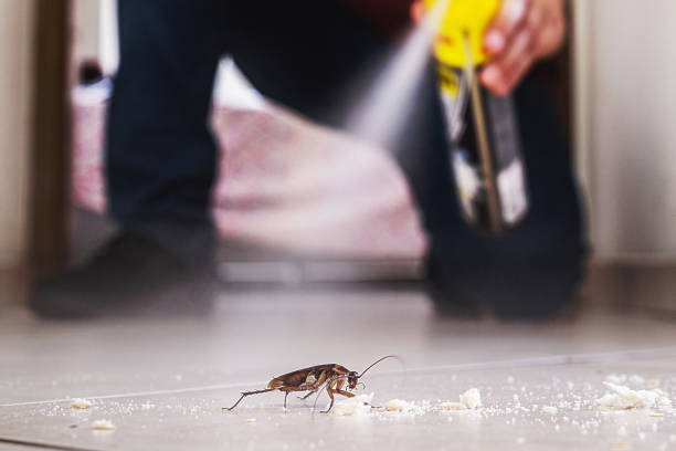 Best Commercial Pest Control Services  in Nashotah, WI