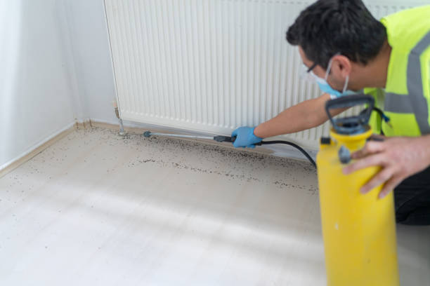 Best Ant Control Services  in Nashotah, WI