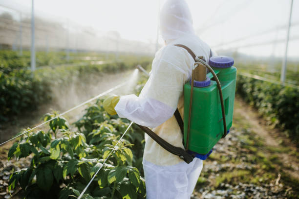  Nashotah, WI Pest Control Pros
